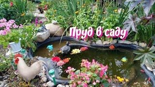 Пруд в саду.Осень.11 сентября.