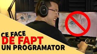 Ce Face DE FAPT Un Programator? | De Ce Sunt IT-știi Așa Bine Plătiți?