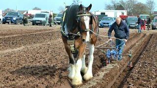 Selby Ploughing Match 09 04 2023 mp4  Produce 02