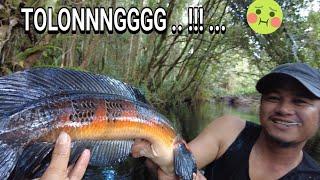 KAMI TERSESAT DI SUNGAI YANG DIPENUHI IKAN CANTIK DAN LANGKA ...  ..