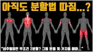 운동을 분할하는 근본적인 이유