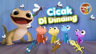 Cicak Cicak di Dinding - Lagu Anak Indonesia Populer