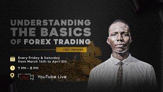  Day 1 --- Introduction to Forex – What is Forex & How Does It Work?