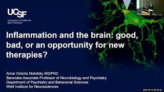 Inflammation and the Brain: Good, Bad, or an Opportunityfor New Therapies?