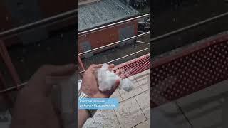 Град после знойной жары в Красноярске
