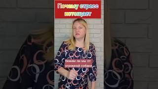 Почему стресс истощает организм  #здоровье #иммунитет #память #сон #lifestyle