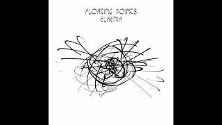 Floating points - Elaenia