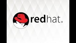 Conoce Red Hat Linux, el primer soporte de código abierto
