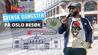 Ali the gangster - Oslo`s gater.