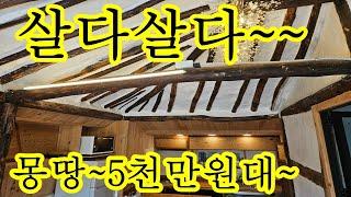 전통한옥을 현대식으로 수리중도에 매매~ 헐값에 5,000만원에 몽땅 토지 163평 연면적 13평(넓게사용) 전남 남원시 남원 전원주택 농가주택 한옥 주택 단독주택 시골집 촌집 급매