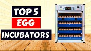 Top 5 Best Egg Incubators of 2025 | Hatch More Successfully – Reviews Inside!