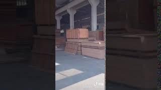 Marine plywood large stock for sale