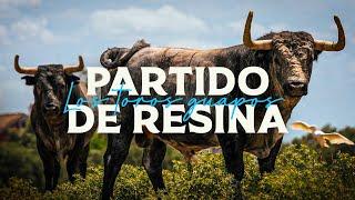 GANADERIA PARTIDO DE RESINA | Los toros guapos