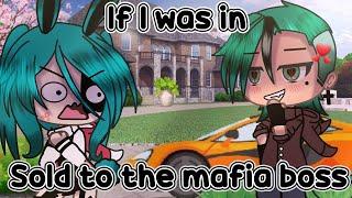  If I was in "sold to the mafia boss" (Gacha Life)