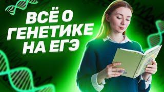 Генетика для ЕГЭ по биологии: основные понятия, законы Менделя, генетические задачи | Умскул