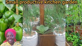 Raised bed gardening  #small productive kitchen garden weeding/vertical garden ideas# backyardfarm