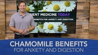 Chamomile Benefits for Anxiety and Digestion