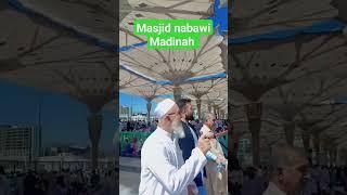 Hara gumbad Jo dekhoge jamana #newnaat #madina #viralvideos #madinamasjidtariqroad H.T Vlogs #2024