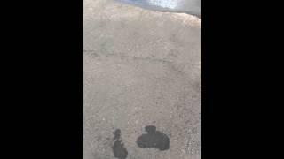 Water the Poles - Public Service Announcement