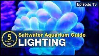 See how easy reef lighting a saltwater aquarium can be! Selecting the right reef LED solution