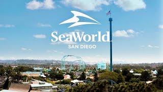 SeaWorld San Diego Theme Park Highlights (2022)