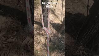 How to tie a Taut Line Hitch if you need to replace a Guy Line for your tent or tarp. #bushcraft