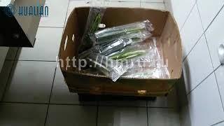 Упаковка зелени во flow pack DXDZ-450B
