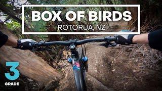 INTRO TO TECH - Box of Birds Mountain Bike Trail (Grade 3 - Intermediate) | Whaka Forest, Rotorua