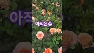 걱정.하지마라ᆢ어떻게든.된다ᆢ#박강수 #이제는