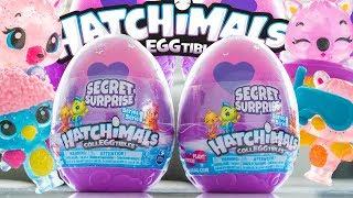 Hatchimals Colleggtibles Secret Surprise Diorama Series 1 | H5Kids