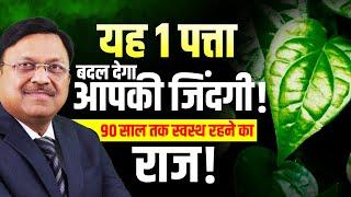 यह पत्ता नहीं, सेहत का खजाना है! 90 साल तक स्वस्थ रहने का राज़! | Dr. Bimal Chhajer | SAAOL