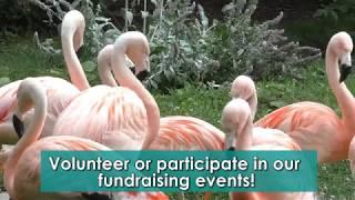How to get involved with Recovery Resources