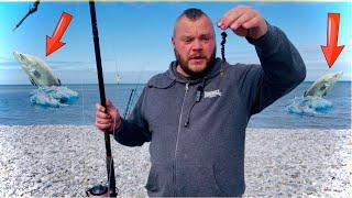 Are The BASS at PENSARN BEACH
