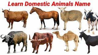Domestic Animals Name in English || Animals Video for kids || How to read Animals Name || #cow ||