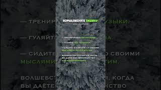 Мотивация  Нормолизуйте тишину