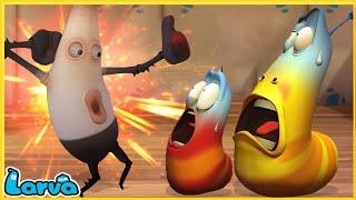 LARVA | DANCER | CARTOON MOVIE FOR LIFE |THE BEST OF CARTOON | HILARIOUS CARTOON COMPILATION