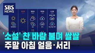 [날씨] '소설' 찬 바람 불며 쌀쌀…주말 아침 얼음·서리 / SBS