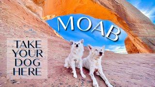 Dog Friendly Road Trip - Ep 6 | Moab, Utah