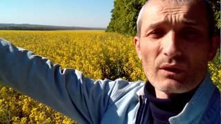 Моя пасека. Быт пасечника. На кочевой Пасеке.