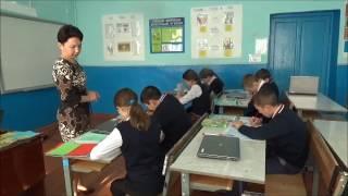 Органический мир океана