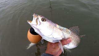 springtime speckled trout fishing