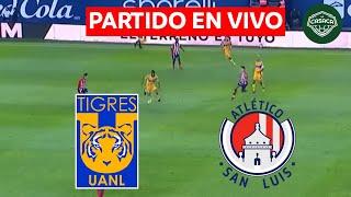  TIGRES vs ATLÉTICO SAN LUIS EN VIVO  LIGA MX - CUARTOS DE FINAL - VUELTA