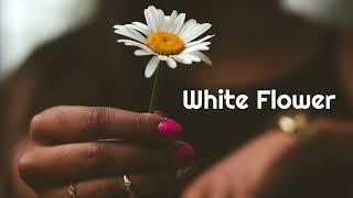 tubebackr - White Flower