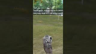 Подпишись️#pubg #pubgmobile #пабг #пабгмобайл #игрынатф #wudu #300 #sparta #пабгмоменты #угар
