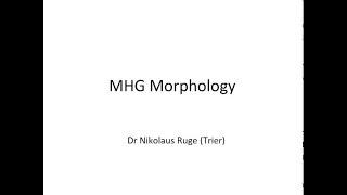 Middle High German Morphology (Dr Nikolaus Ruge). Lecture 6 German Historical Linguistics