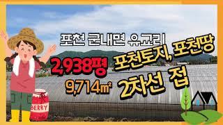 포천 토지 2차선 도로접한 군내면 유교리 땅 2,938평