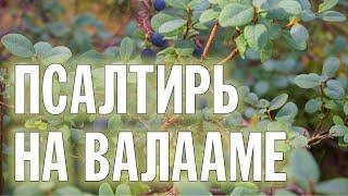 ПСАЛТИРЬ В ВАЛААМСКОМ МОНАСТЫРЕ (Эфир 24 июля 2024 года)