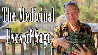 The Medicinal Uses of Sage