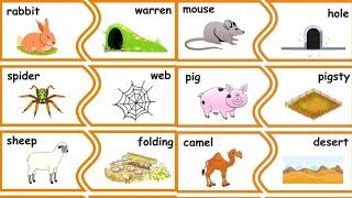 animal home names for kids in english | animal homes in english | animals homes names