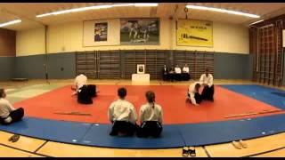 Aikido Linz Aikido DAN Prüfungen 2013